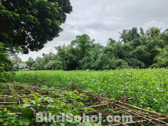 ঢাকা-আরিচা মহাসড়কের সন্নিকটে নির্ভেজাল জমি বিক্রয়